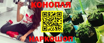 амф Тулун