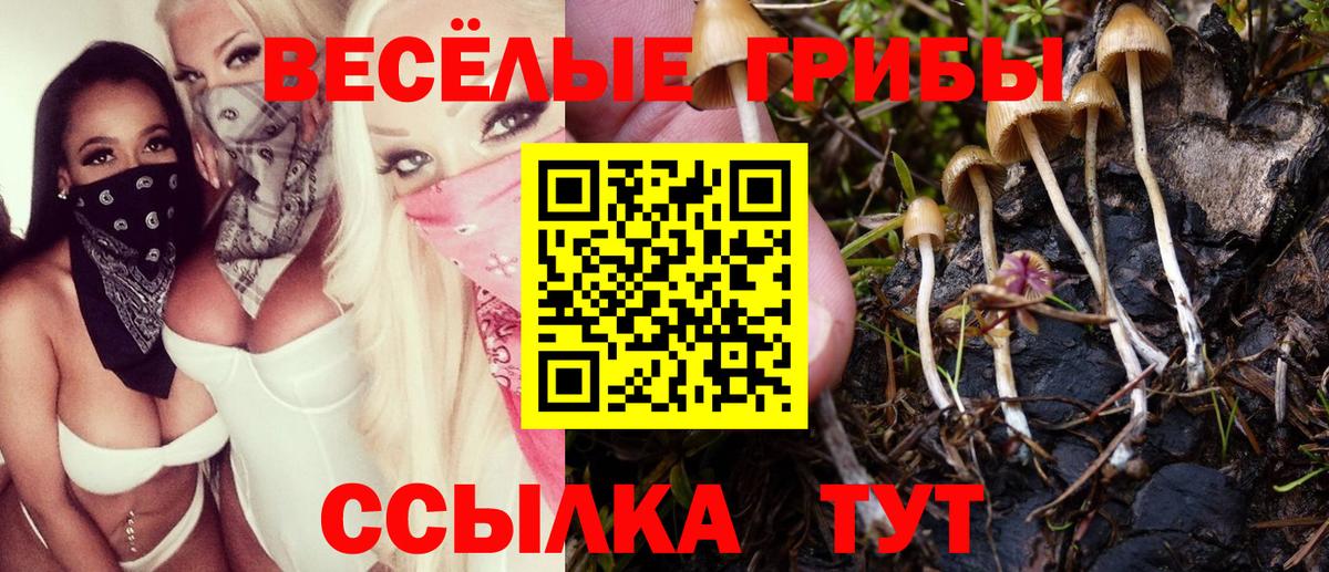 Галлюциногенные грибы мицелий Нововоронеж